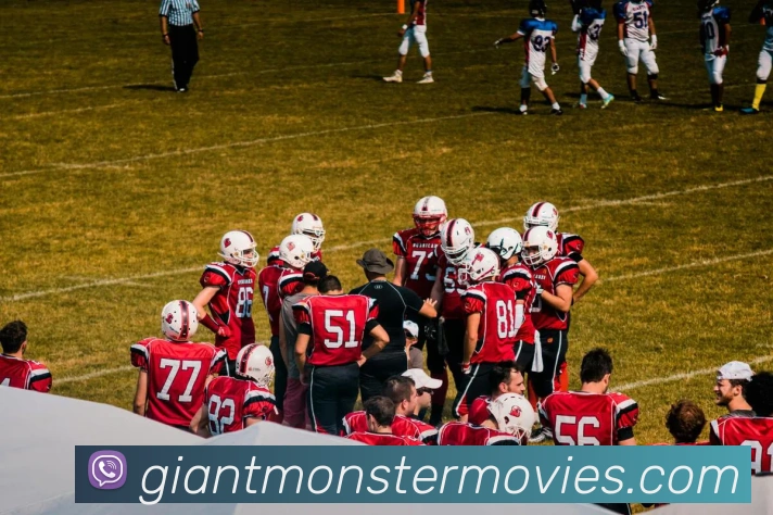 博亚体育APP 体育赛事宣传图